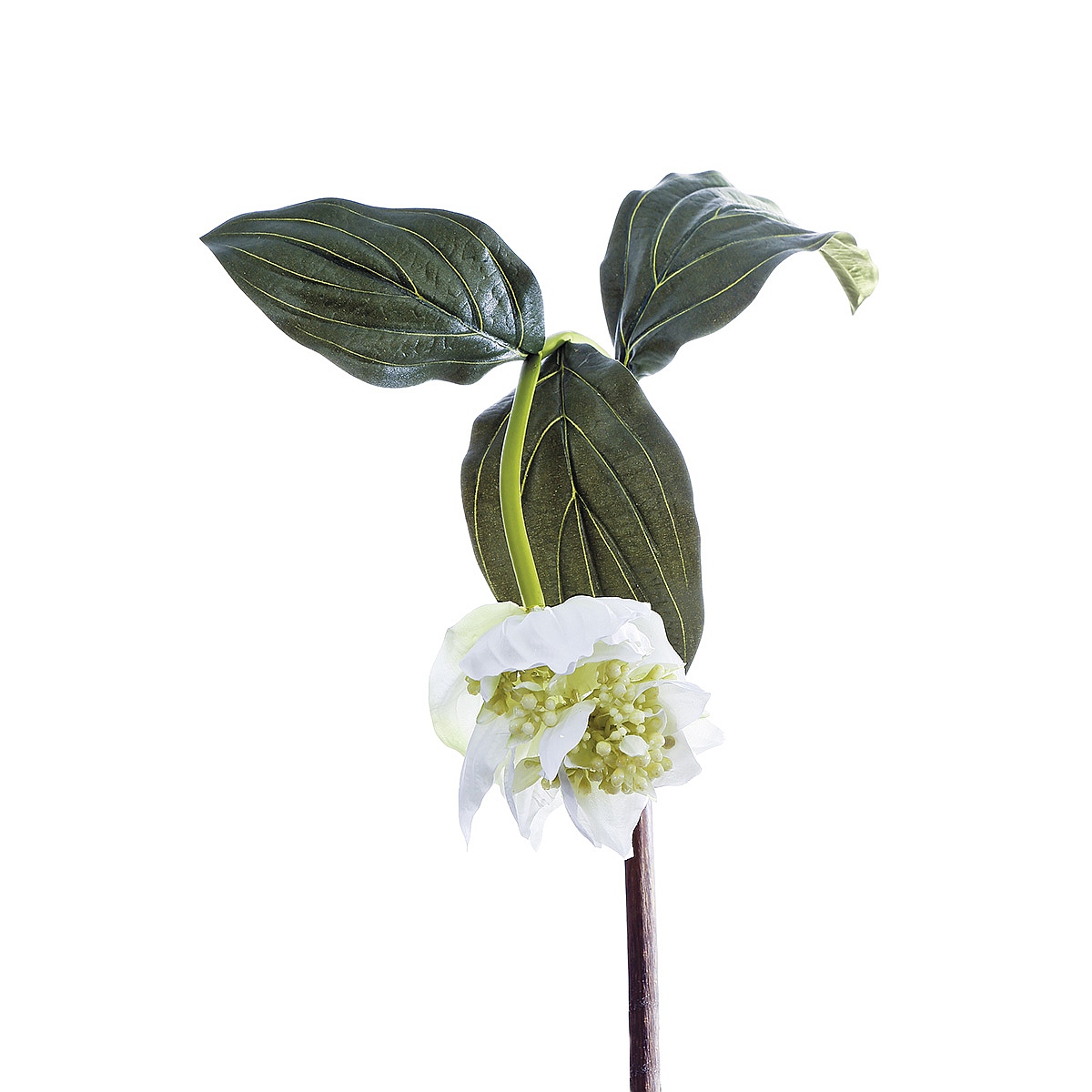 Φυτό ArteLibre Λευκό Τεχνητό 86cm